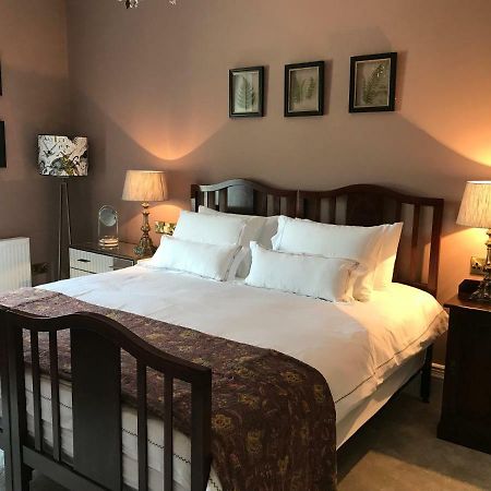 Drinagh Rathaspeck Manor B&B المظهر الخارجي الصورة